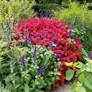 Meet your Posher, Lora